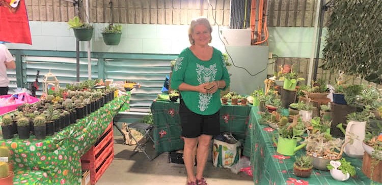 Buy cactus succulent gardens