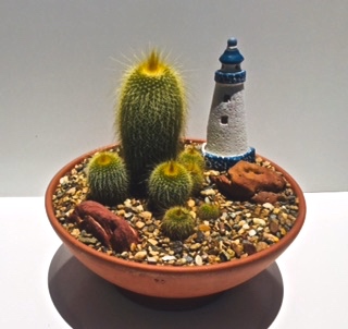 Monster market cactus