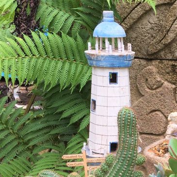 Lighthouse Cactus Kim Currie