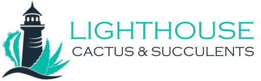 Lighthouse Cactus and Succulents Ravenshoe Nth Qld