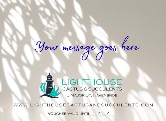 Kim Currie Lighthouse Cactus & Succulents message