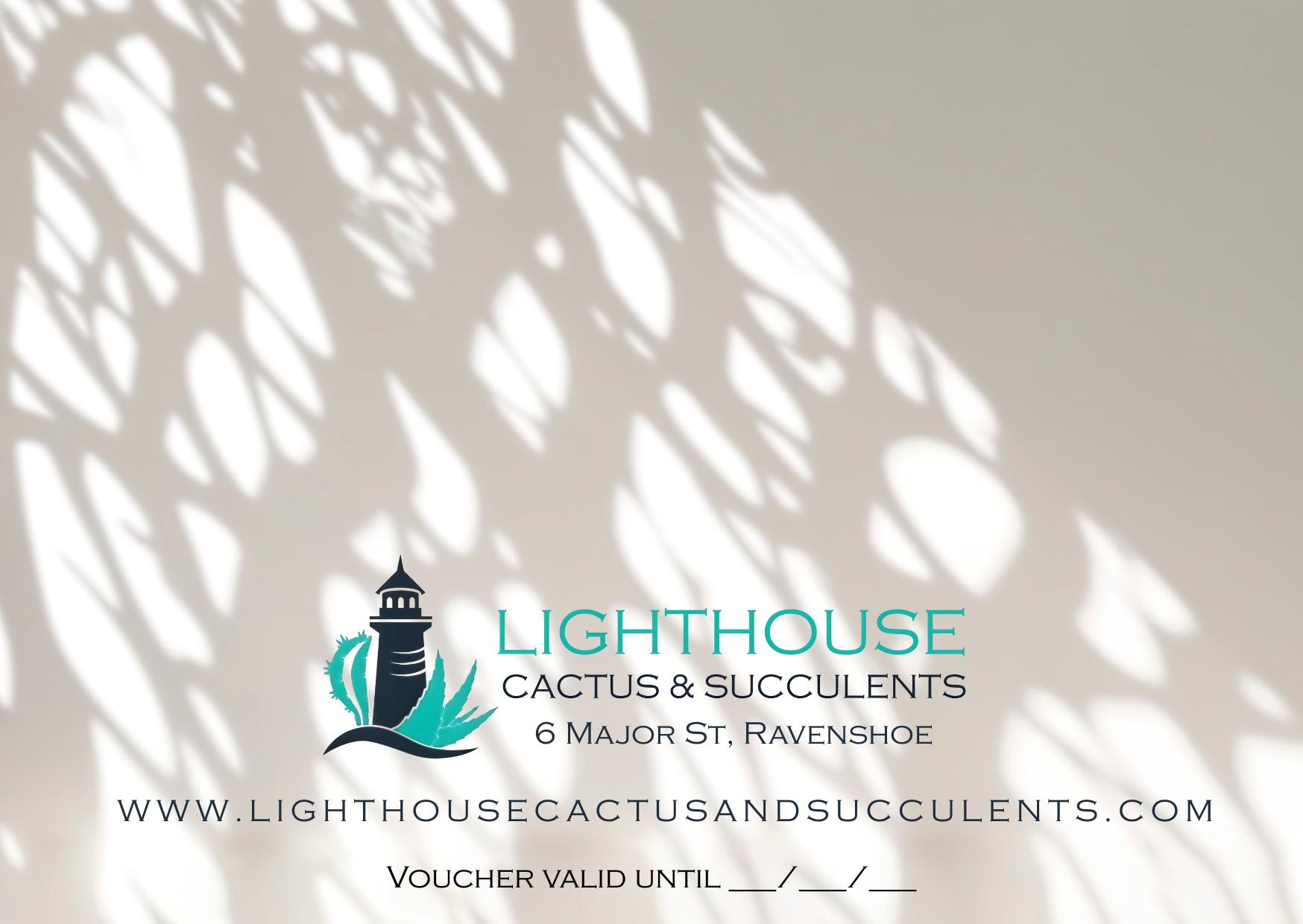 Lighthouse Cactus & Succulent Gift Voucher - Image 4