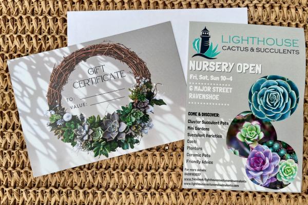 Lighthouse Nursery Succulent gift voucher