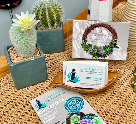 Lighthouse Nursery Succulent Gift Certificate